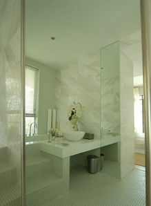 時尚現代簡約衛(wèi)生間臺階隔斷設計